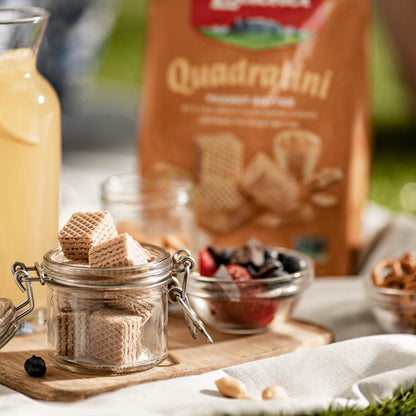 Loacker Quadratini (Square) Peanut Butter Wafer Cookies, 8.84 oz, 6-Count Bite-Size Italian Wafer Snack